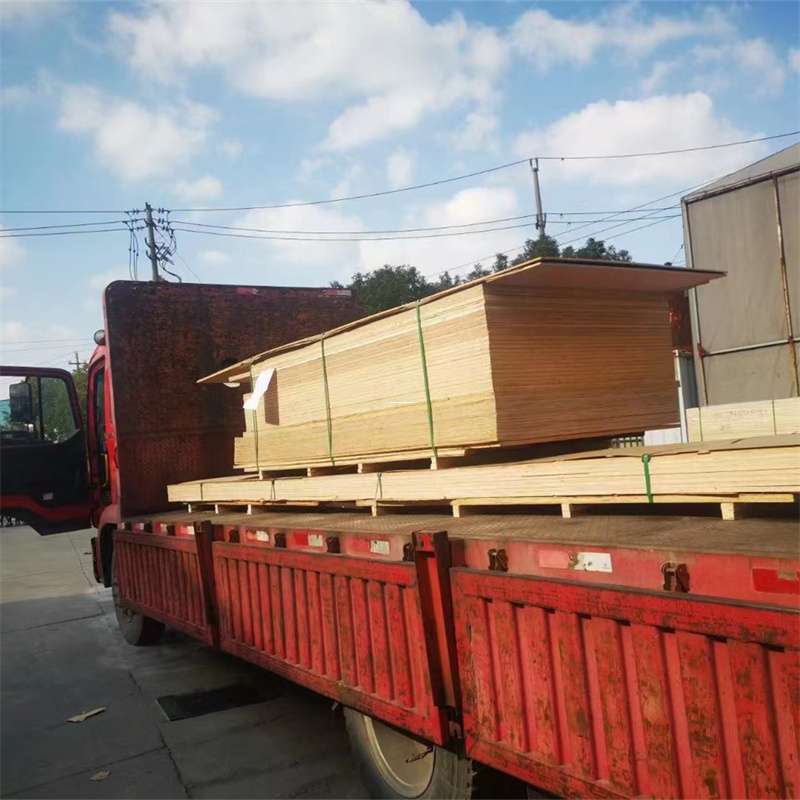吉林通化梅河口至塔城货运专线，一站式物流服务助您成功